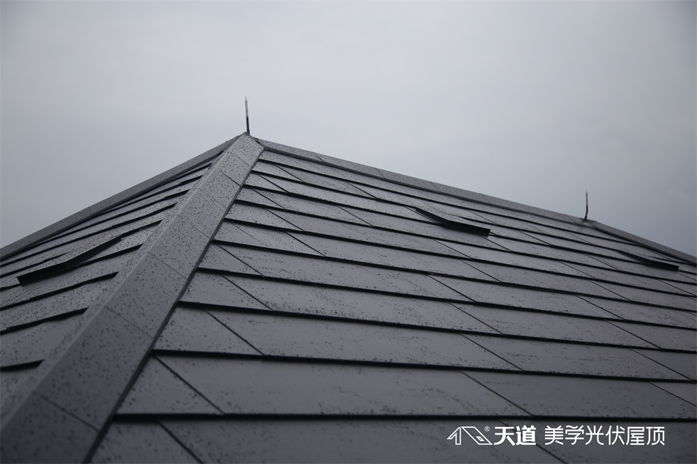 天道美學(xué)光伏屋頂項目案例-上海虹橋御墅.jpg